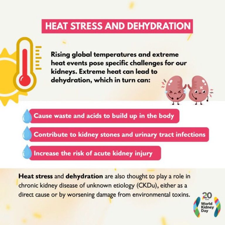 whatsapp image 2025 09 24 at 8.50.09 pm (1)