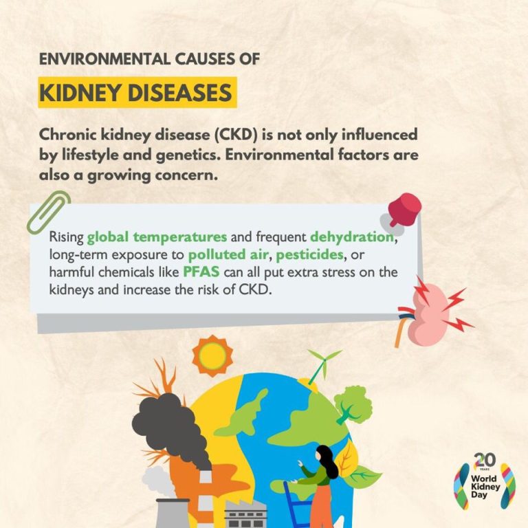 whatsapp image 2025 09 24 at 8.50.09 pm (2)