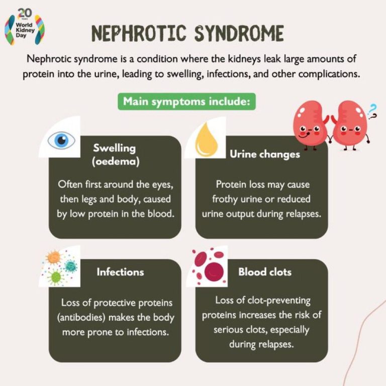 whatsapp image 2025 10 27 at 10.25.08 am