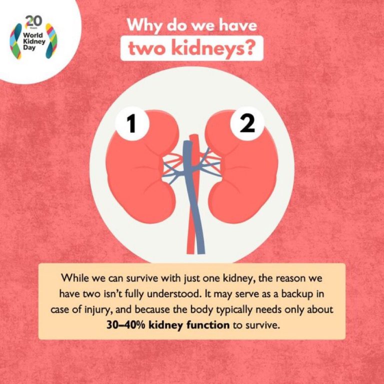 whatsapp image 2025 10 27 at 10.25.10 am (1)