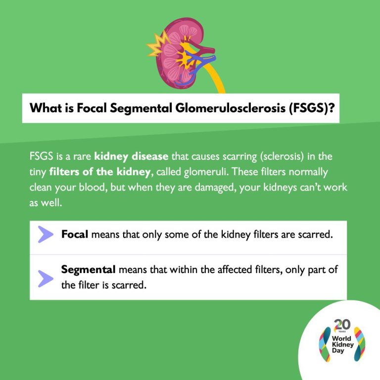 whatsapp image 2025 10 27 at 10.25.23 am (4)