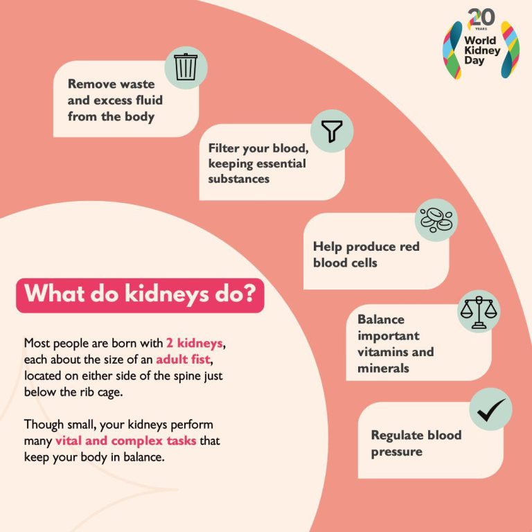 whatsapp image 2025 10 27 at 10.25.24 am (3)