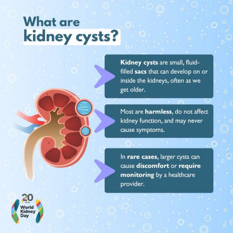 whatsapp image 2025 10 27 at 10.25.24 am