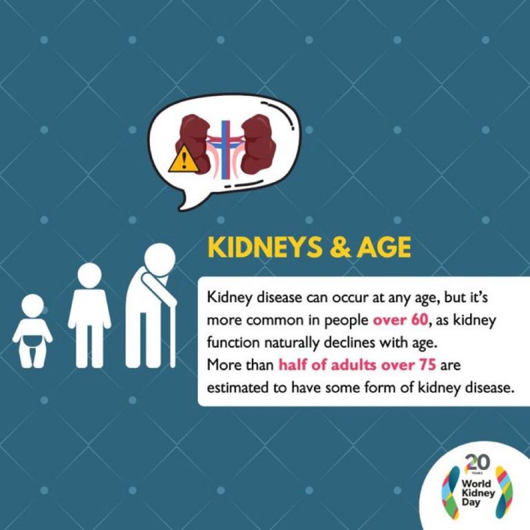 whatsapp image 2025 10 27 at 10.25.25 am (4)