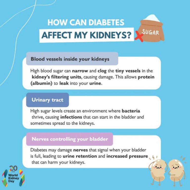 whatsapp image 2025 10 27 at 10.25.25 am (5)