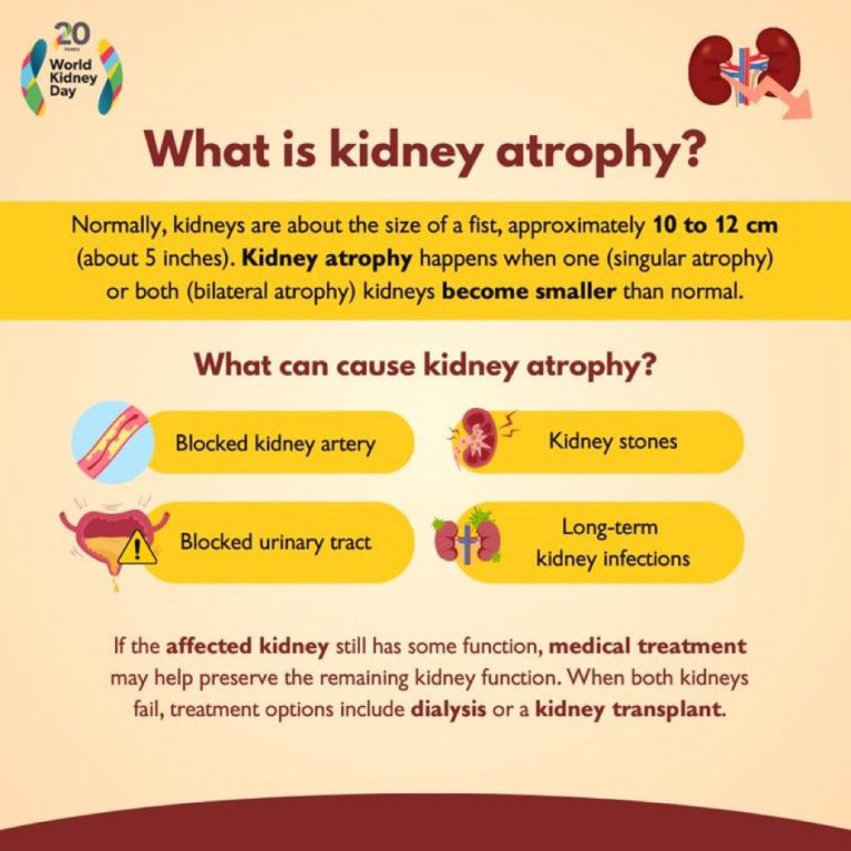 whatsapp image 2025 10 27 at 10.25.26 am (1)