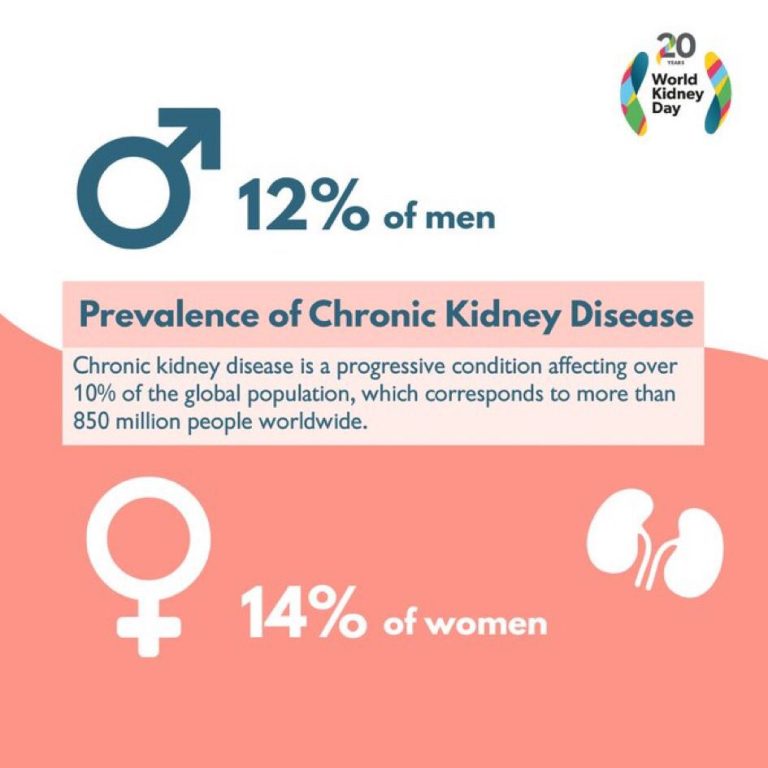 whatsapp image 2025 10 27 at 10.25.26 am (2)