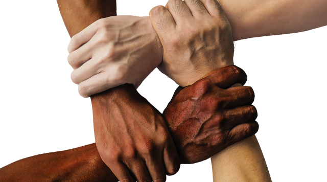 hands, team, united, together, people, unity, teamwork, group, hand in hand, union, support, friendship, cooperation, community, holding, connection, harmony, diversity, cut out, hands, hands, hands, hands, team, team, team, team, team, together, together, people, people, people, people, unity, teamwork, teamwork, group, support, support, friendship, friendship, community, community, community, community, connection, diversity, diversity, diversity, diversity